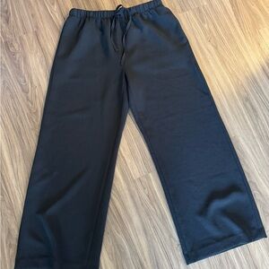 Aritzia Wilfred Lodge pants (Black, L)